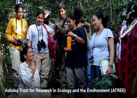 Clean-Up Campaign: A Step Towards a Cleaner, Healthier Tomorrow